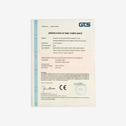 GTS compliance certificate - motor (BYG & CYST series)