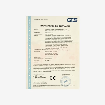 GTS compliance certificate - stepper motor