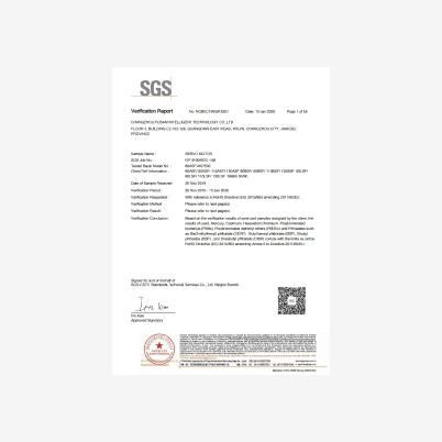 SGS verification report - stepper motor