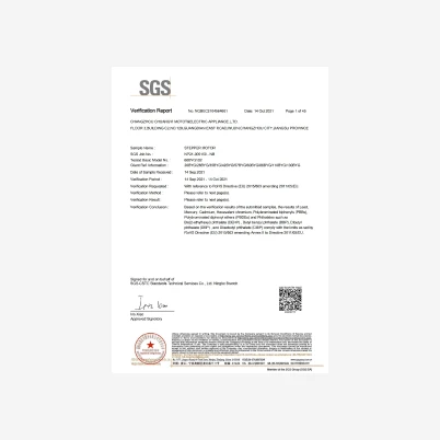 SGS verification report - servo motor